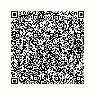 vCard 79028177351