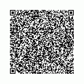 vCard 79028177353