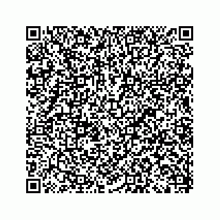 vCard 79028177368