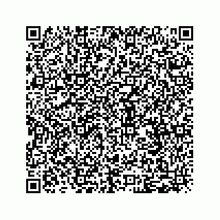 vCard 79028177379