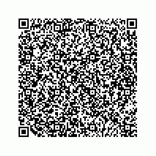 vCard 79028177380