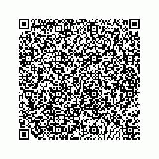 vCard 79028177381