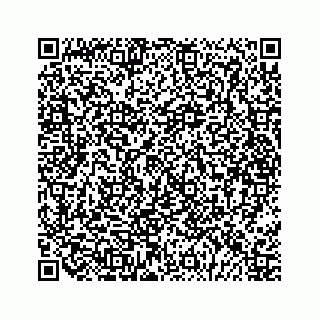 vCard 79028177386
