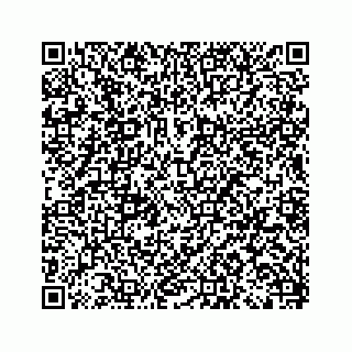 vCard 79028177387