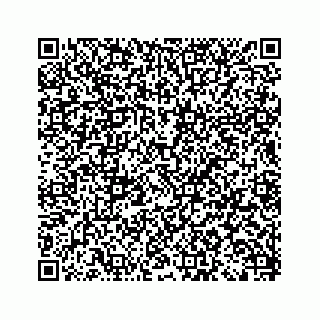 vCard 79028177393