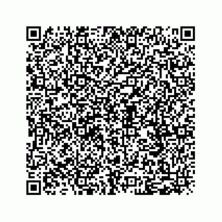 vCard 79028177394