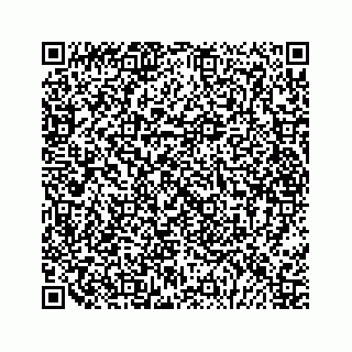 vCard 79028177397