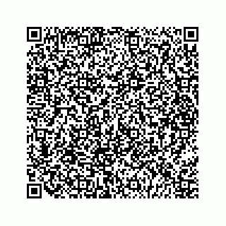 vCard 79028177411