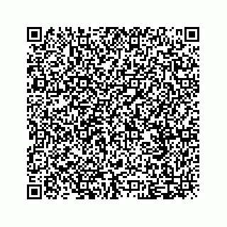 vCard 79028177413