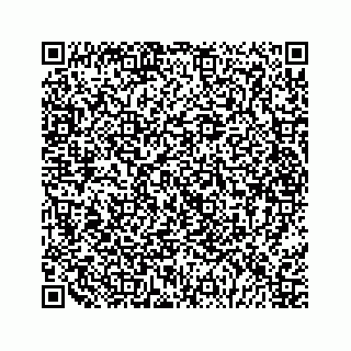 vCard 79028177423