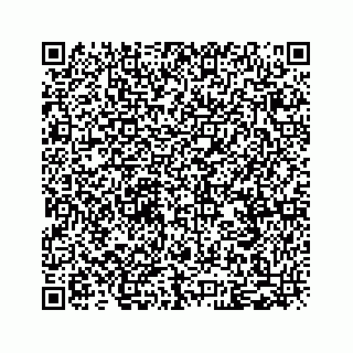 vCard 79028199311