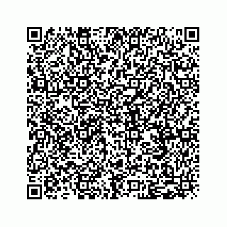 vCard 79028199313
