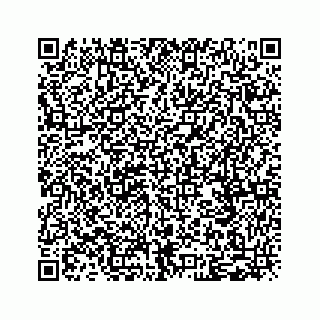 vCard 79028199334