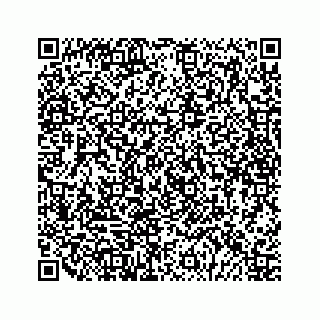 vCard 79028199337