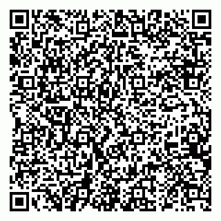 vCard 79028200303