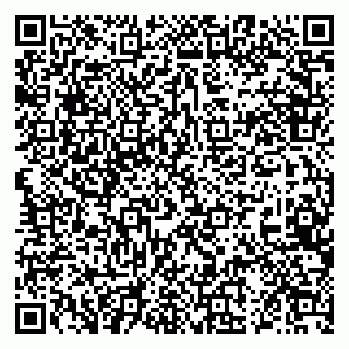 vCard 79028205729