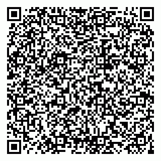 vCard 79028260272