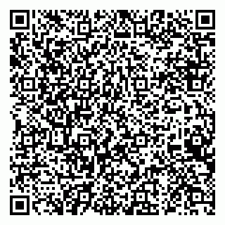 vCard 79028270403