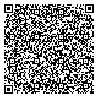 vCard 79028273728
