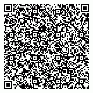 vCard 79028273985