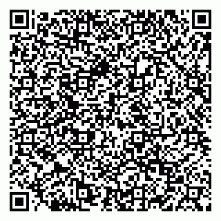 vCard 79028274002