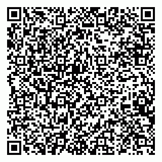 vCard 79028274003