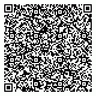 vCard 79028274011
