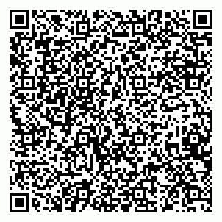 vCard 79028274020