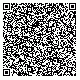 vCard 79028274032