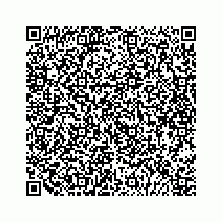 vCard 79028284313