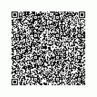 vCard 79028287065