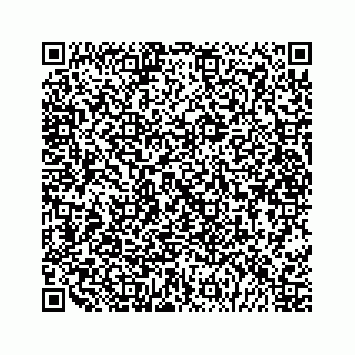 vCard 79028287111