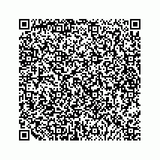 vCard 79028287384