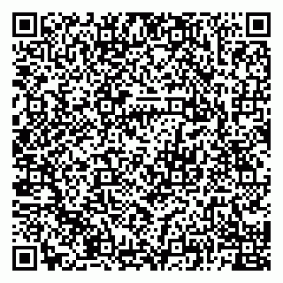 vCard 79028300028