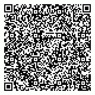 vCard 79028300087