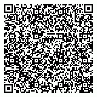 vCard 79028300314