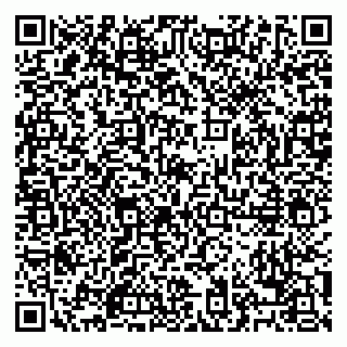 vCard 79028500300