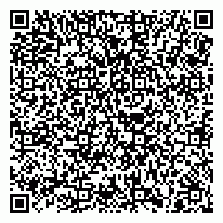 vCard 79028500301