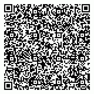 vCard 79028500303