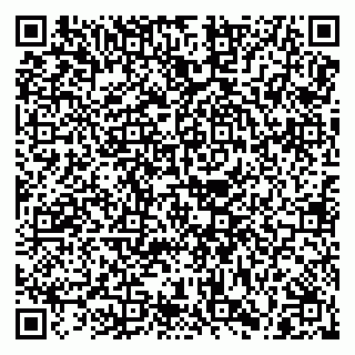 vCard 79028500312