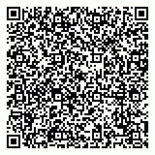 vCard 79028500321