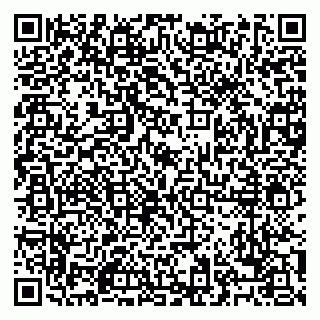 vCard 79028500322