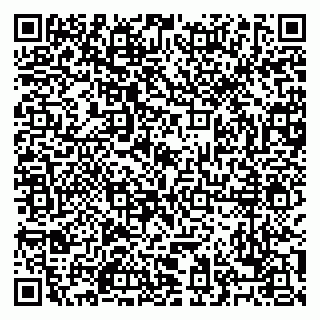 vCard 79028500329