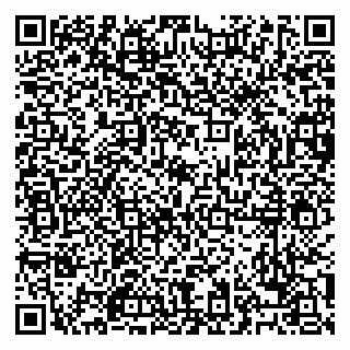 vCard 79028500330