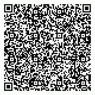 vCard 79028500331
