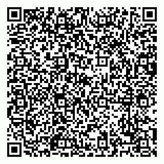 vCard 79028500333