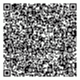 vCard 79028500334