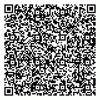 vCard 79028500335