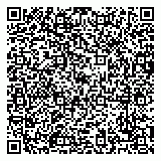 vCard 79028500337