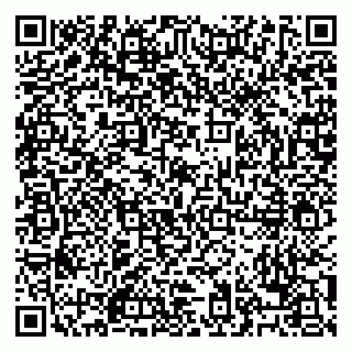 vCard 79028500350